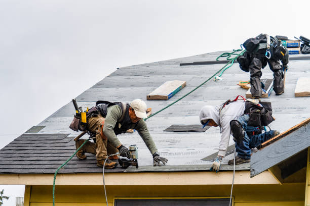 Professional Storm Damage Roof Repair technician working in Deer Creek, MN